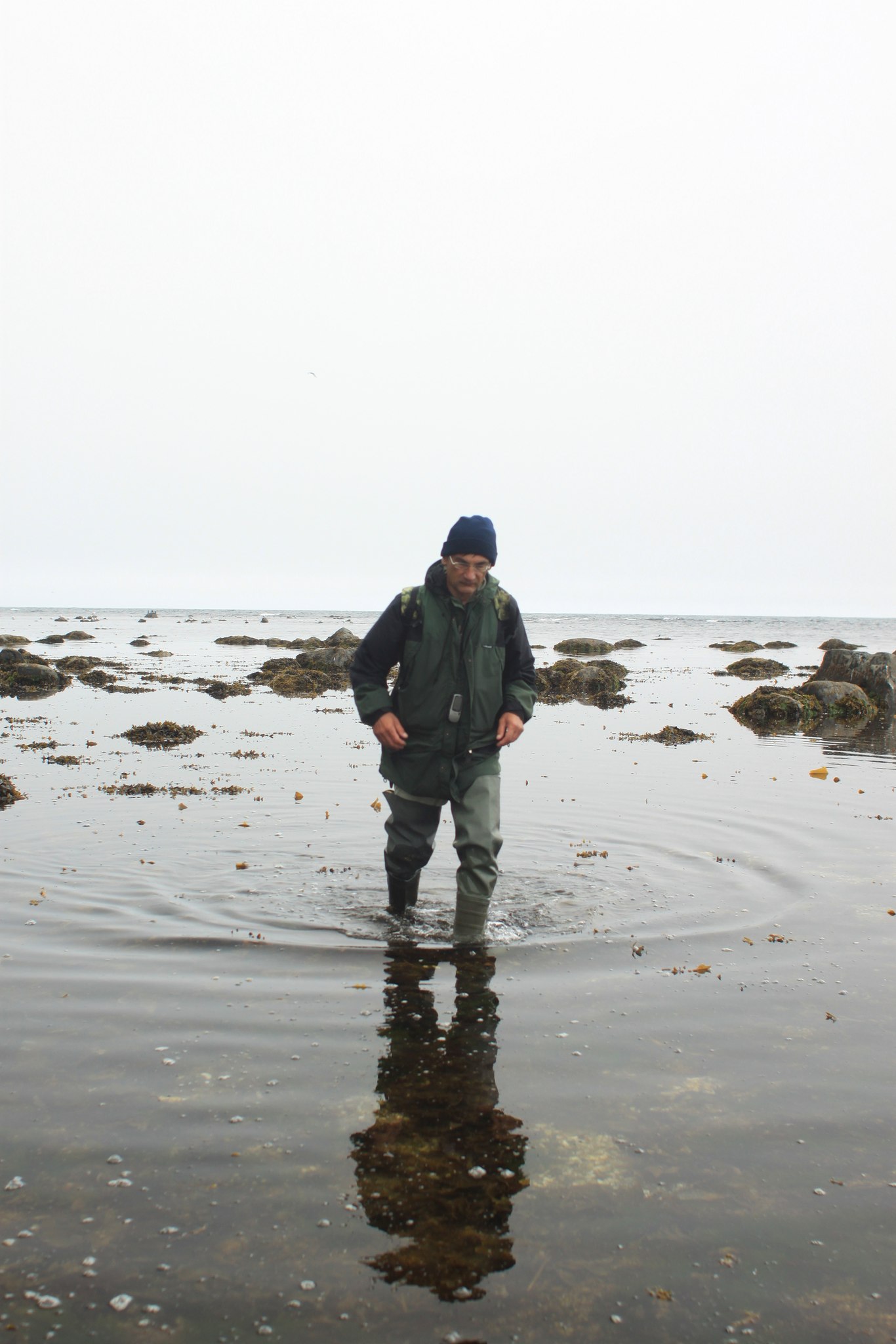 Завершлись сезонные работы по исследованию структуры береговых геосистем острова Беринга